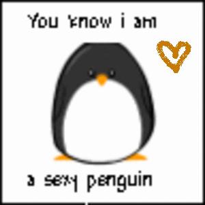 sexy-penguin.jpg